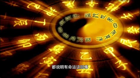 数字玄学配对|中国古代算命术